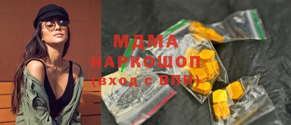 шишки Горняк