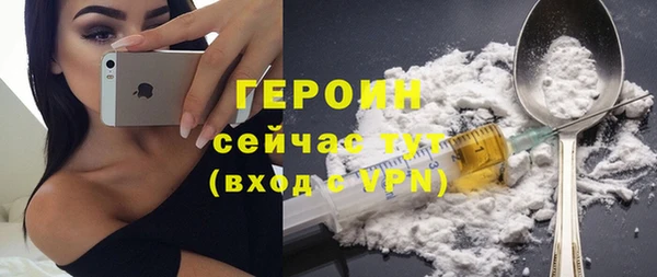 шишки Горняк