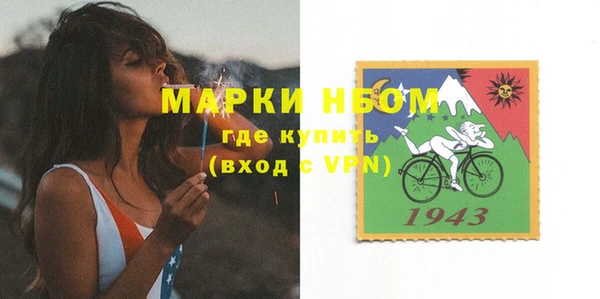 шишки Горняк
