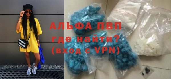 шишки Горняк