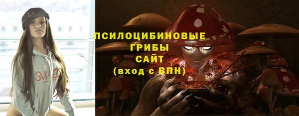 шишки Горняк