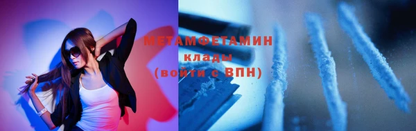 шишки Горняк