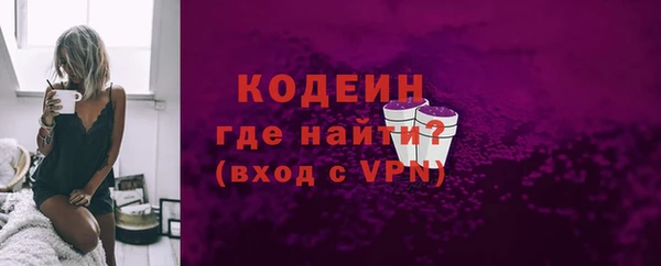 шишки Горняк