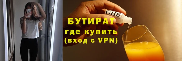 шишки Горняк