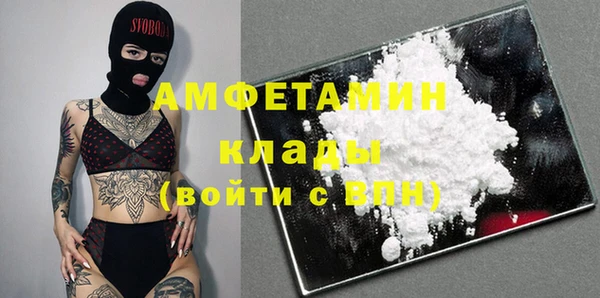 шишки Горняк