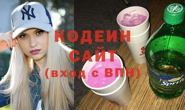 шишки Горняк