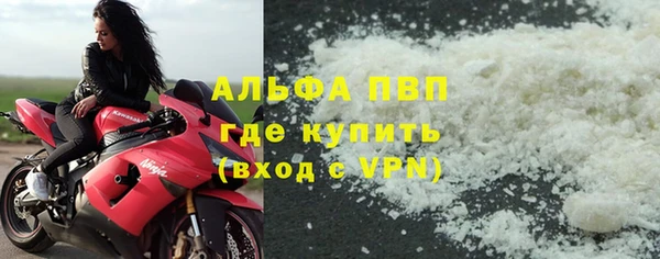 шишки Горняк