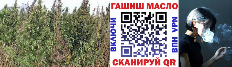 Дистиллят ТГК концентрат  Купить где  Тайшет 
