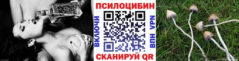 Псилоцибиновые грибы мицелий  Купить  Тайшет 